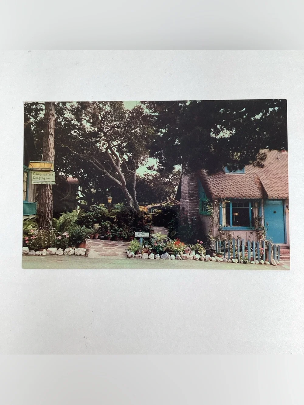 RPPC Monterey & Carmel Bay CA, Ghost Tree, Golf, Cypress, Lamplighters Postcard